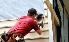 Best Siding for New Construction  in St Augusta, MN